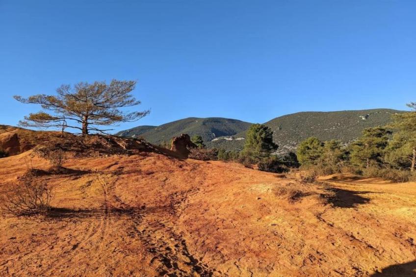 la petite Colline - foto 36