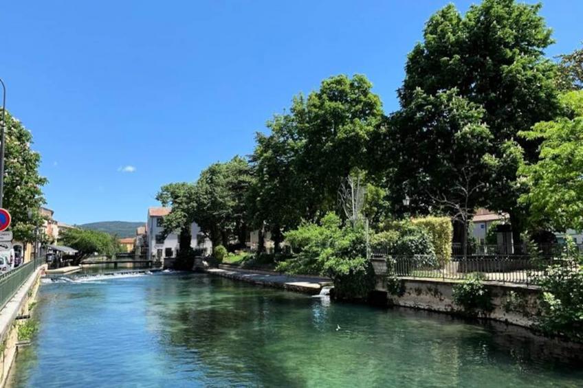 Fleurs De Provence - foto 13