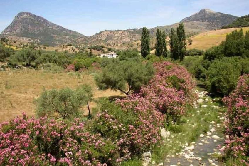 mit Terrasse in der Nähe eines Wasserfalls - foto 12
