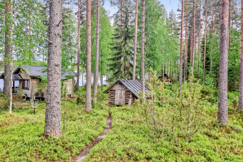 Pilkkaniemi - foto 33