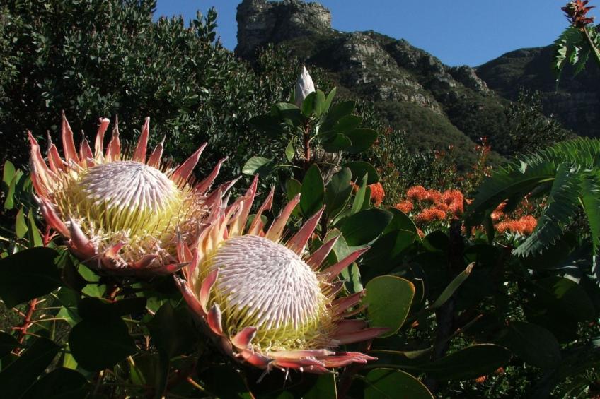 "Harbour Bridge 214" - foto 32