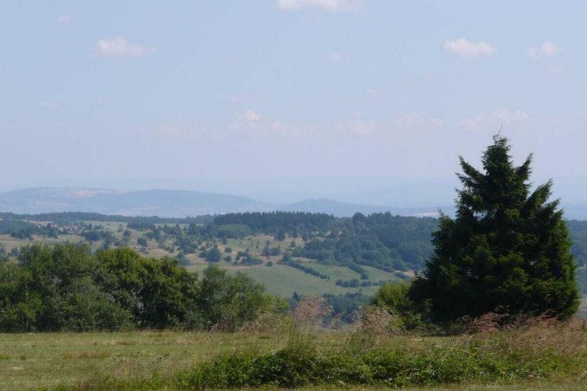 221613 - foto 20