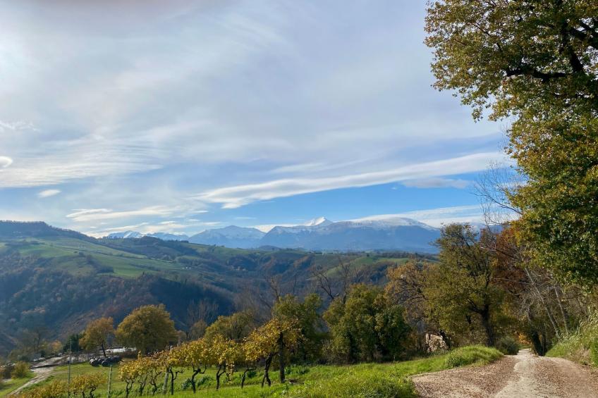 Casa Campodanzo - foto 27