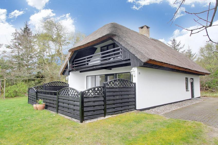 "Rigitte" - 1.5km from the sea in NW Jutland - foto 18