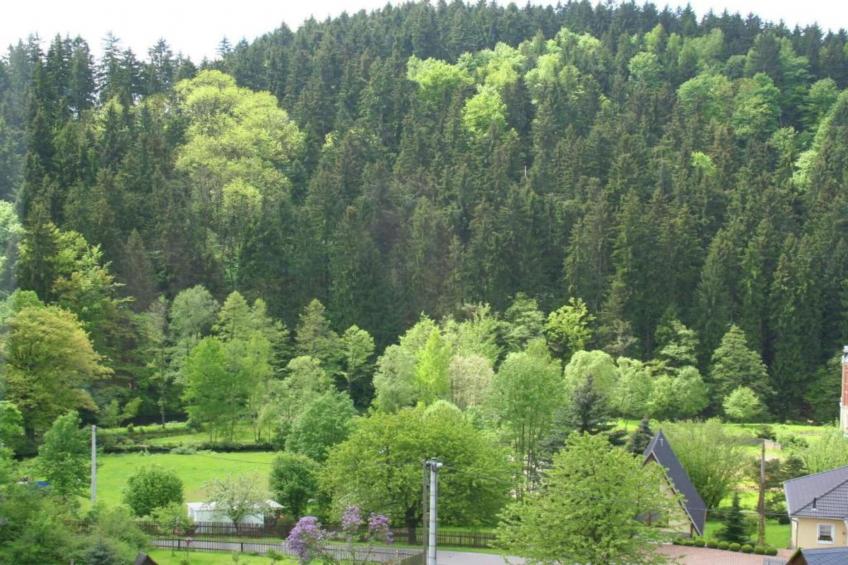 Villa im Erzgebirge - foto 37