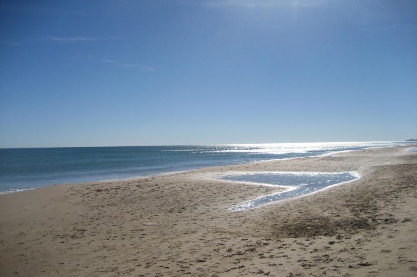 Casa Magdalena, Fincahaus, Hund erlaubt, Pool - foto 20