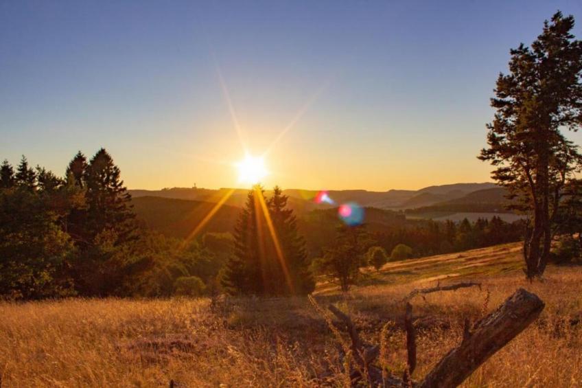 Brouwer Ferienhaus - foto 30