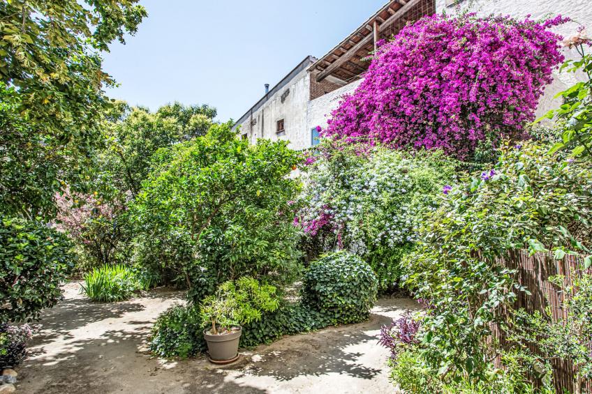 La petite Réal - foto 17