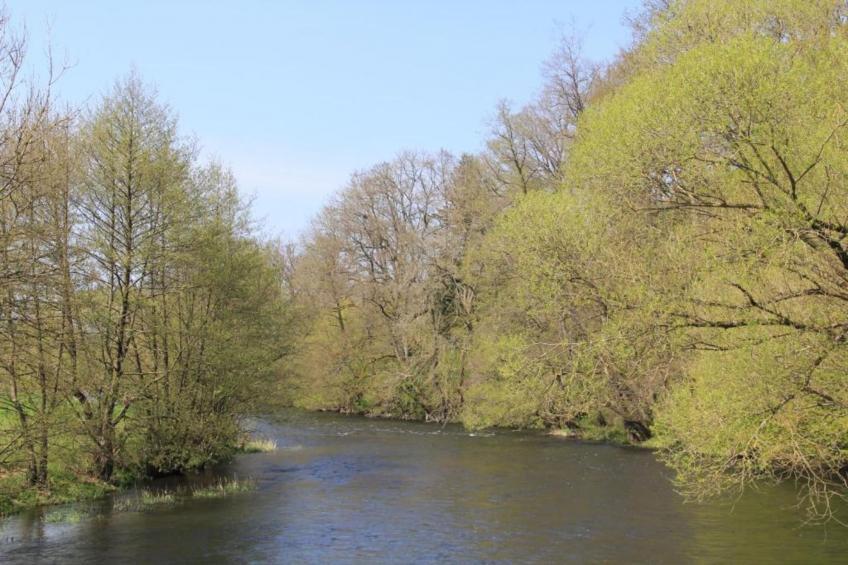 The Heart and Joy - foto 35