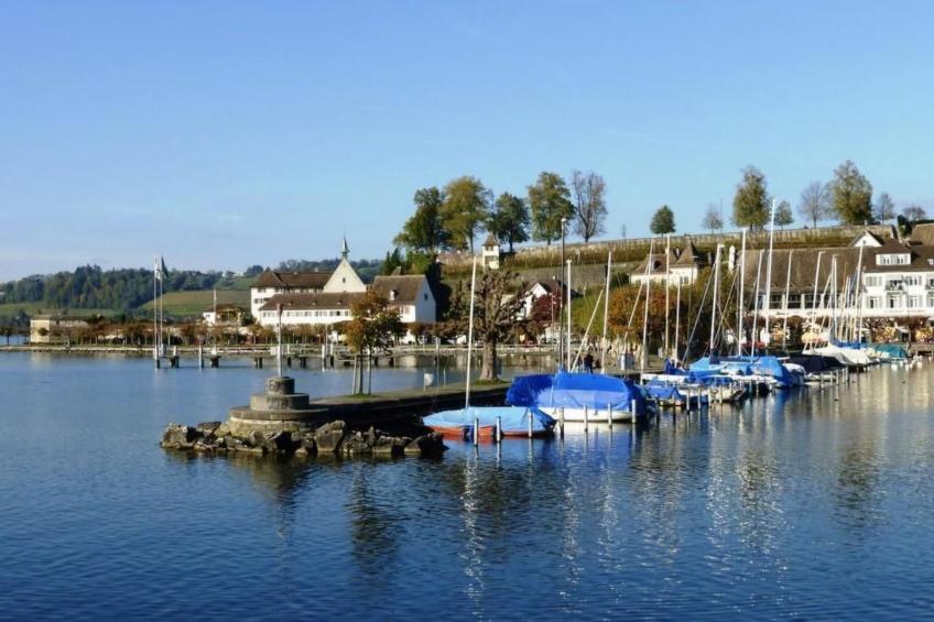 3-Zimmer Ferienwohnung Rapperswil am Zürichsee - foto 33