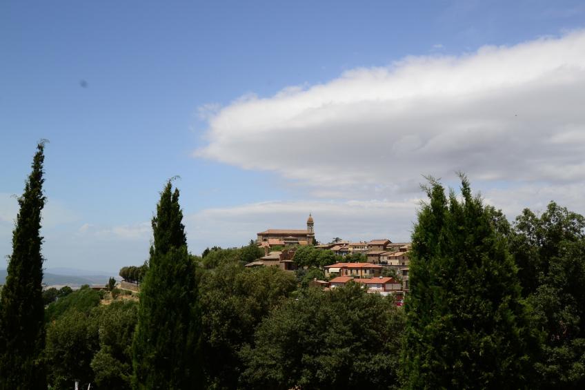 Sparsa Girasole - foto 15