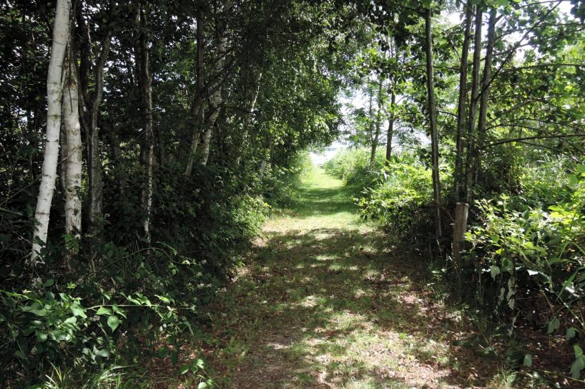 Pod świerkami pokój nr 4 dla 4 osób - foto 27