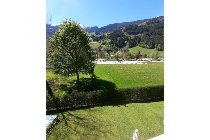 334451 - foto 19