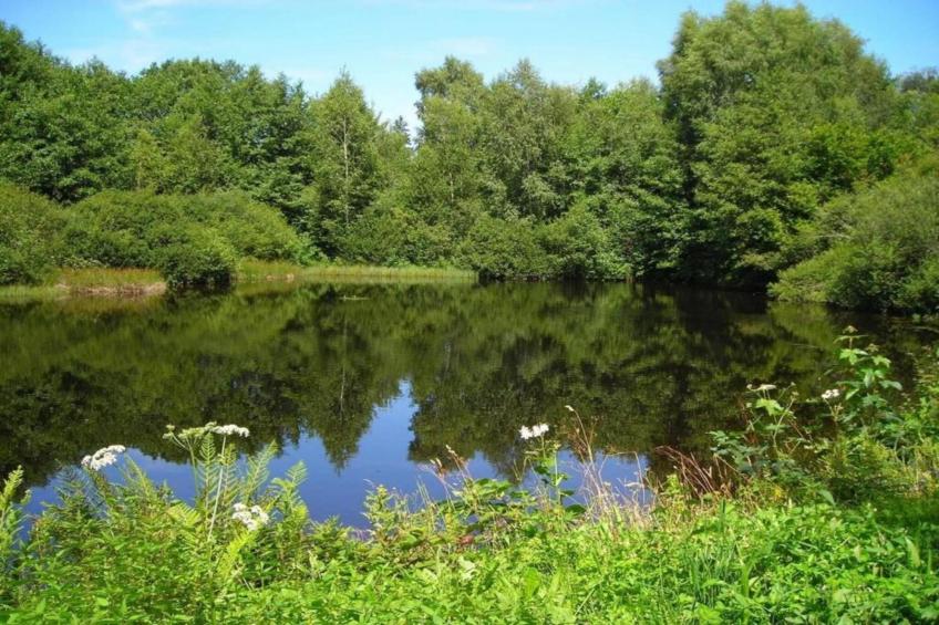 Maison de vacances - ESMOULIÈRES - foto 35