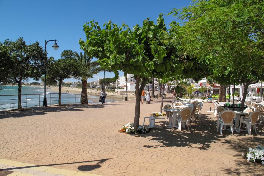 Palm Beach - foto 30