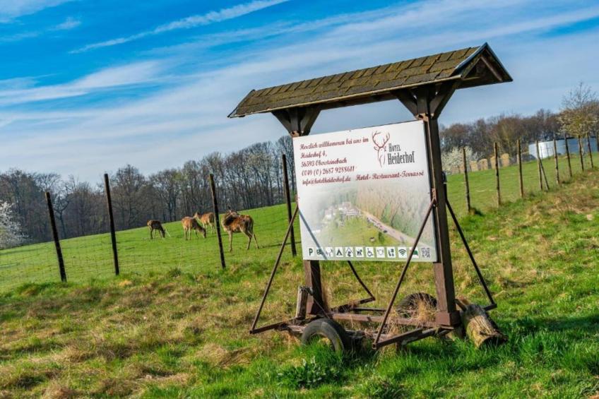 Heiderhof - Triple Room - foto 26