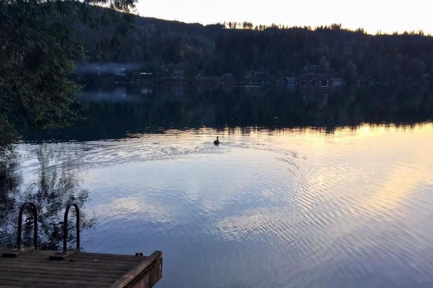 Lakeside Real Log Cabin mit privatem Dock, Haustiere OK - foto 18