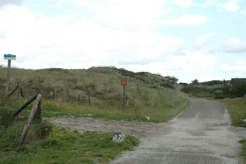 66913 - foto 19