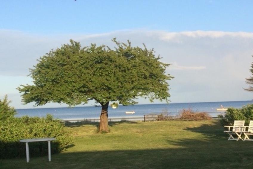 "Viveke" - 10m from the sea - foto 9
