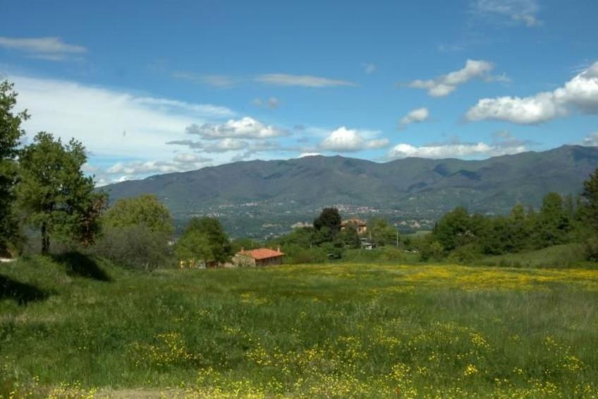 Wohnung in Figline Valdarno mit Gemeinschaftspool - foto 7