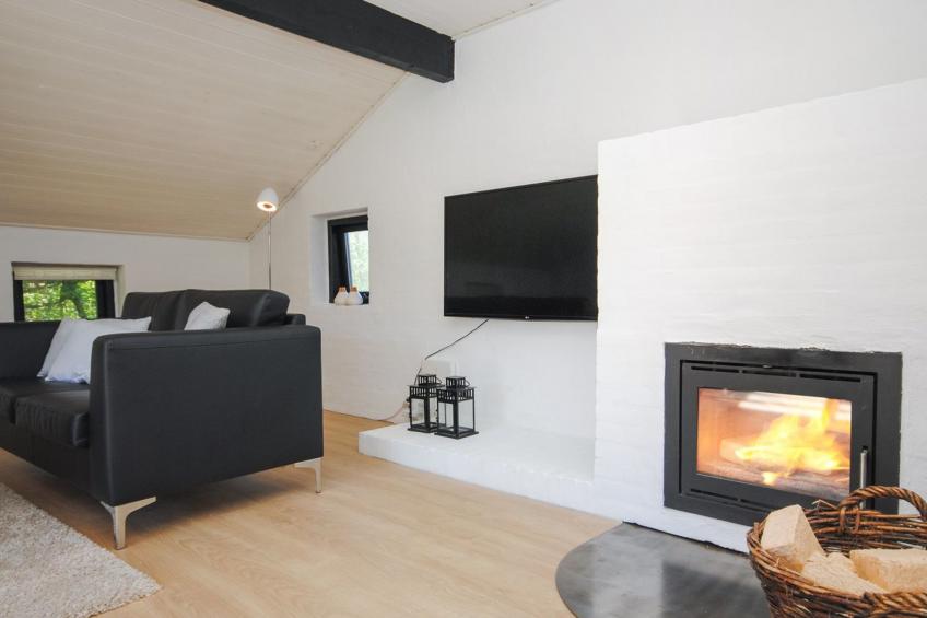 "Duco" - 300m from the sea in NW Jutland - foto 10