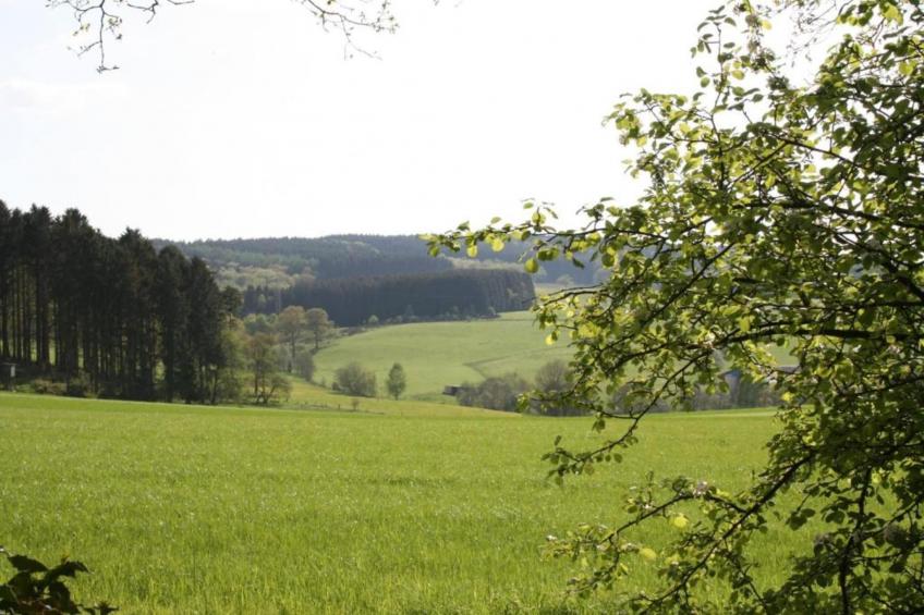 Alpaka-Farm - foto 33