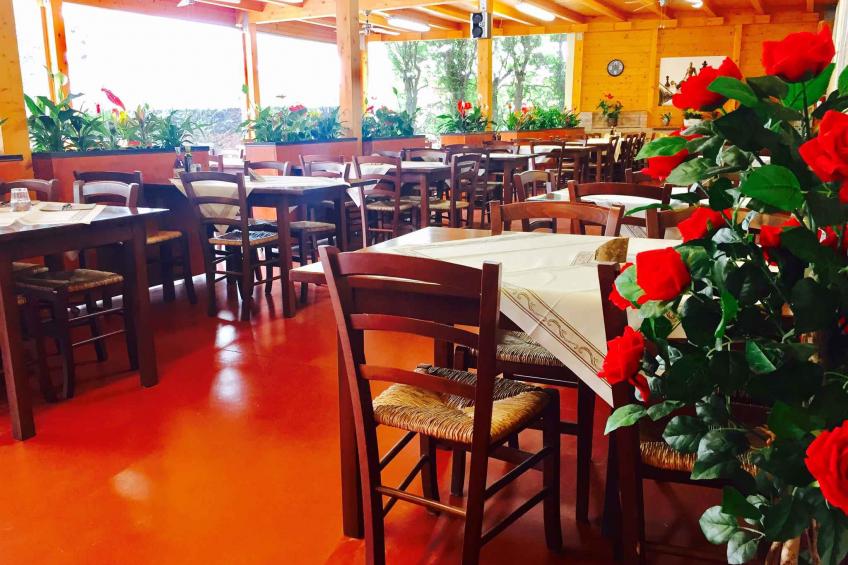 Holiday house on campsite in the pine forest - BF-NX2CW - foto 22