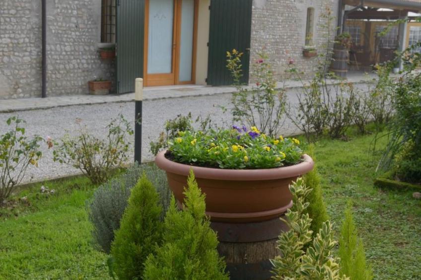 Wohnung 'Rose' mit Terrasse - foto 25