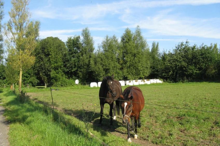 Gutshof-Ambiente 5 - foto 35