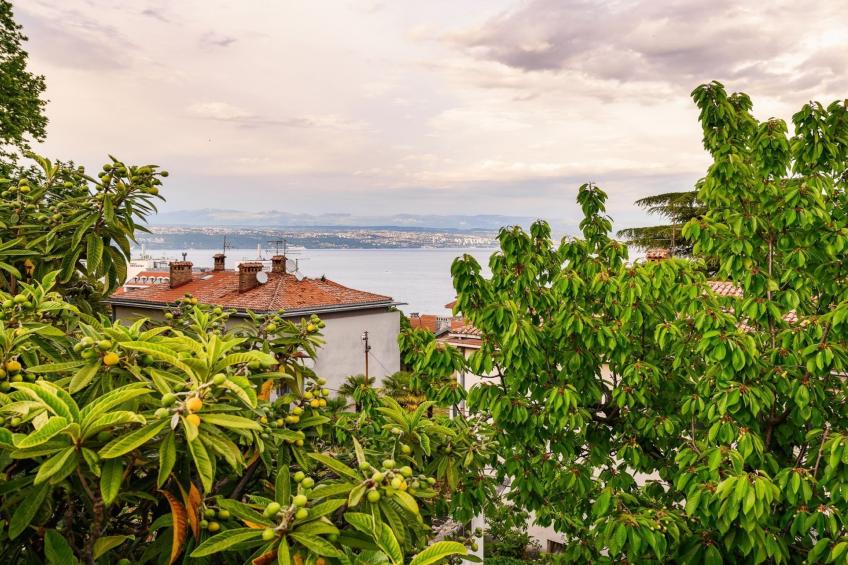 Charming Lovran Apartments with Wonderful Sea View - Two Bedroom Apartment - foto 23