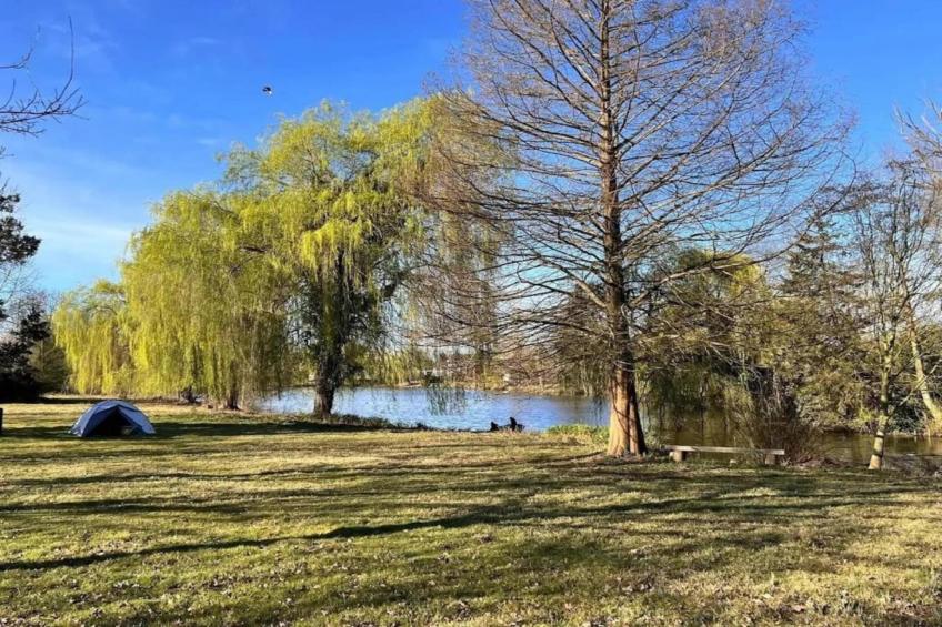 't Granzeke - foto 29