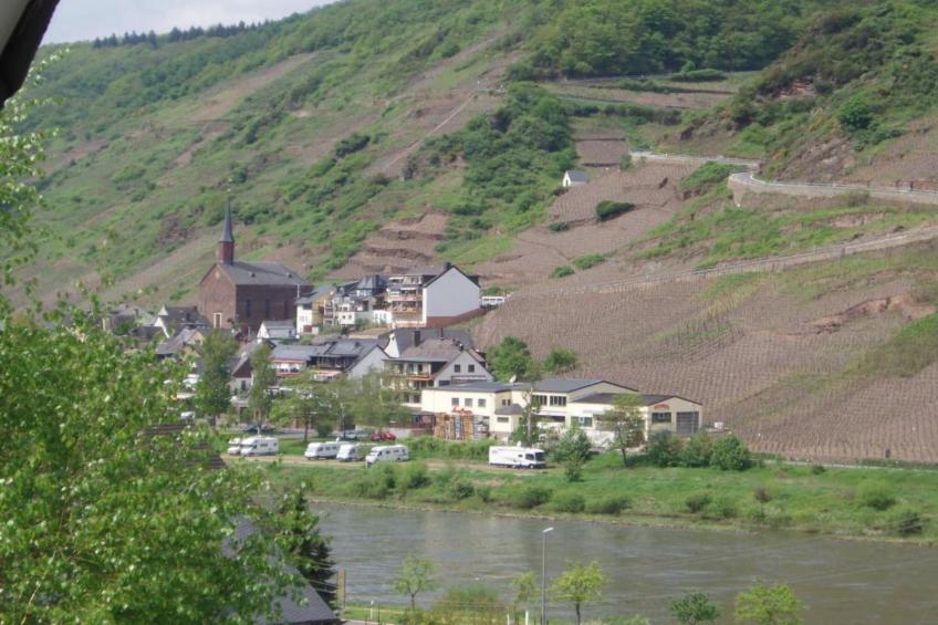 Weingut Hausmann - foto 34