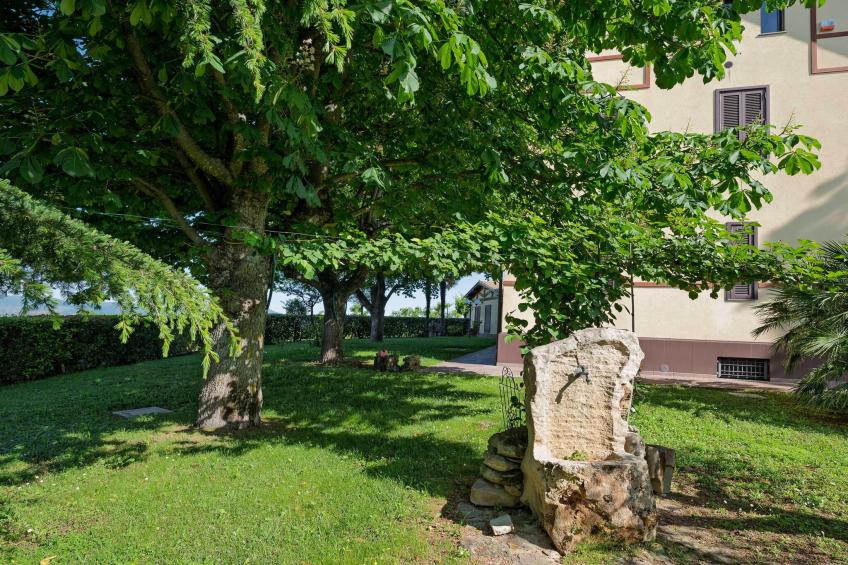 Bella Epoque - foto 34