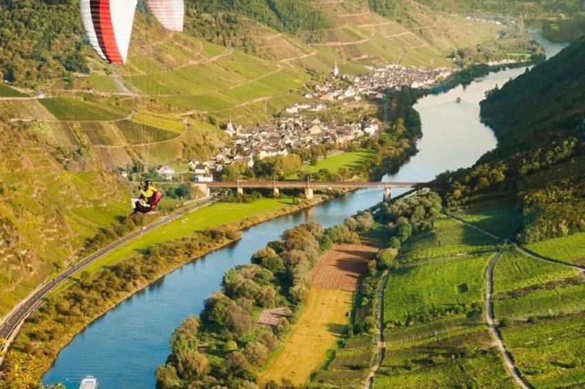 Perle-Lollipop - foto 29