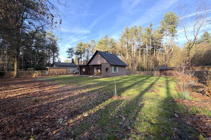 Lierelodge - foto 33