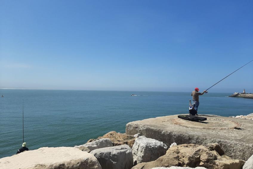 Beachhouse - foto 22