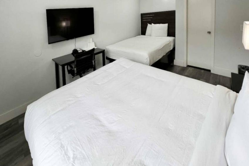 2 Queen Beds  Non-Smoking Micfridge - foto 3