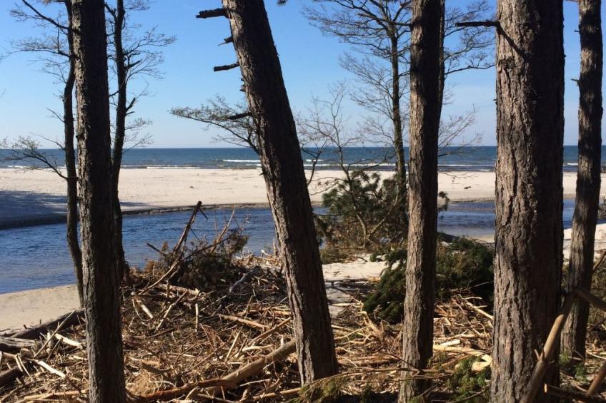 mit Schwimmbad - foto 53