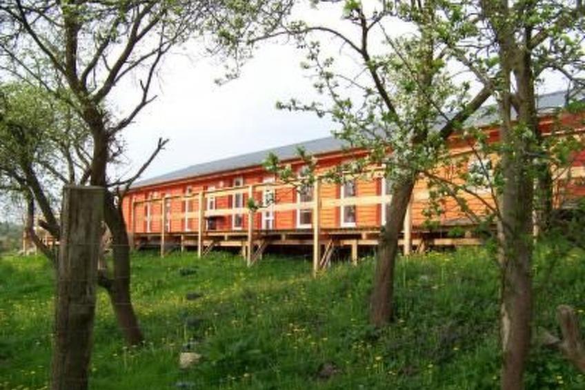 Alleenwiesen - foto 2