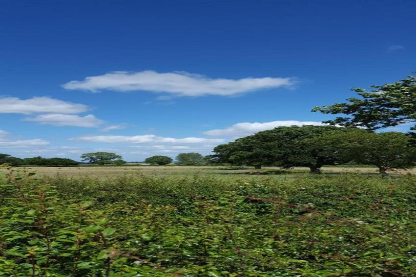 Netley Hall - Rose - foto 28