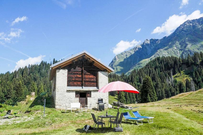 Nido delle Alpi