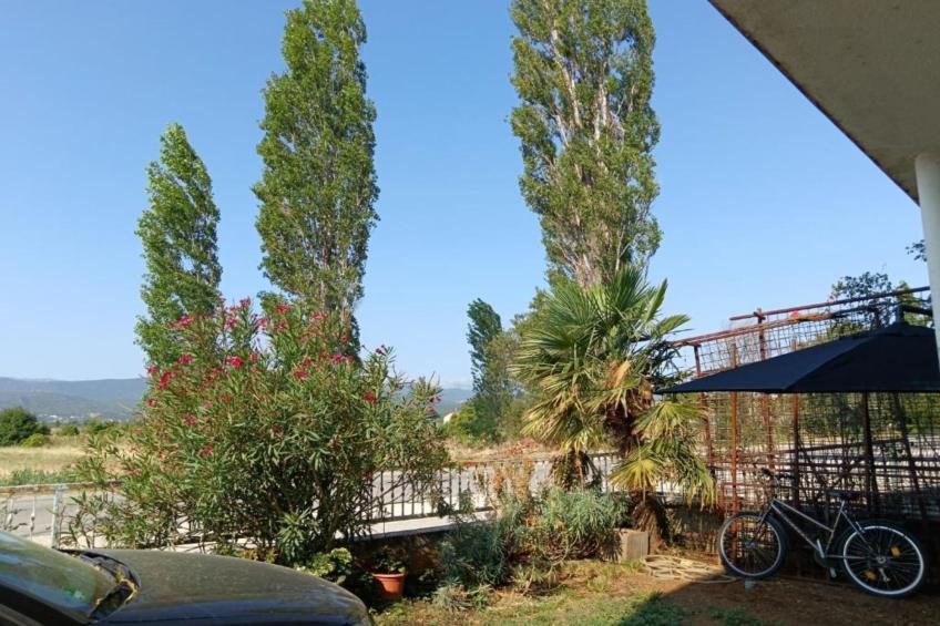 Apartman Ivanka - foto 15