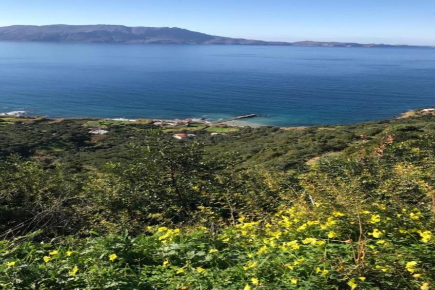 Seaview Studio 1 - foto 34