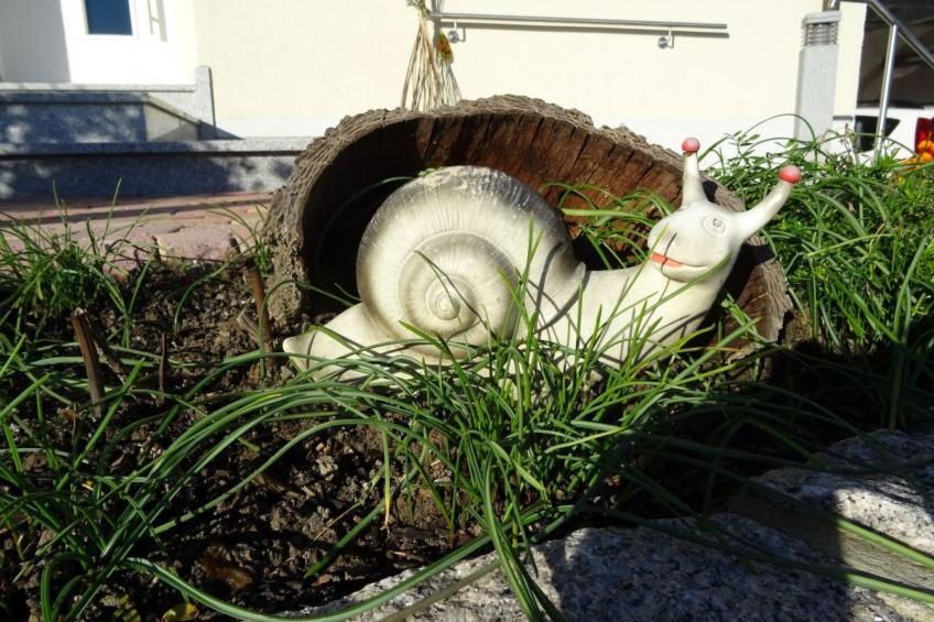 Am Keschtewaeldele - foto 19