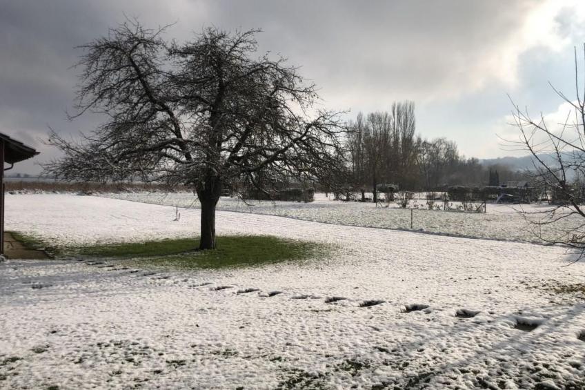 zum Regenbogen in Ermatingen - foto 53