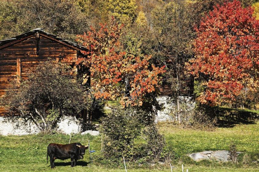 Chalet 1679 - foto 28