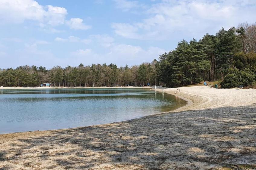 De Drentsche Patrijs - foto 26