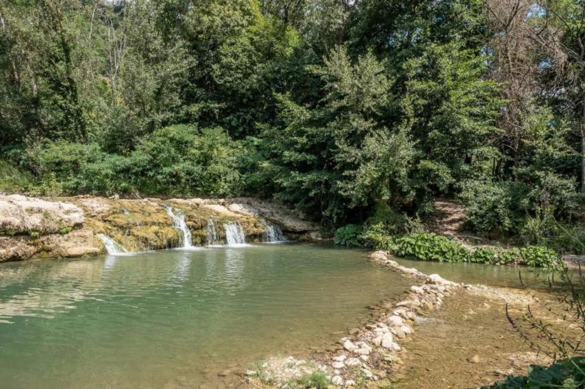 Il Giardiniere - foto 37