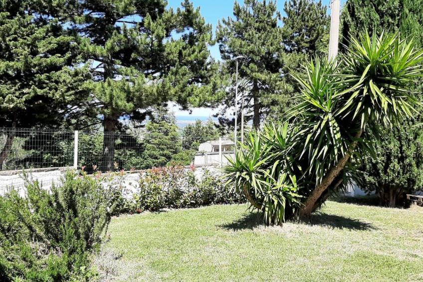 'Dear Peace on the Hill - foto 5