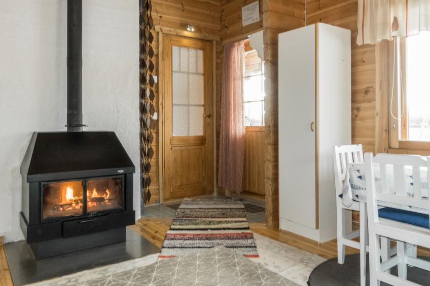 Pikkupöllö - foto 5